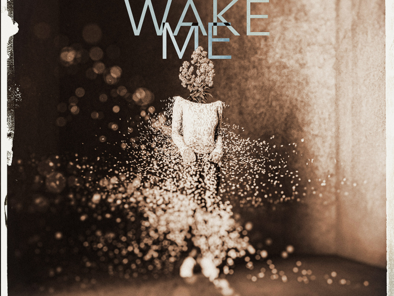 Wake Me (Single)