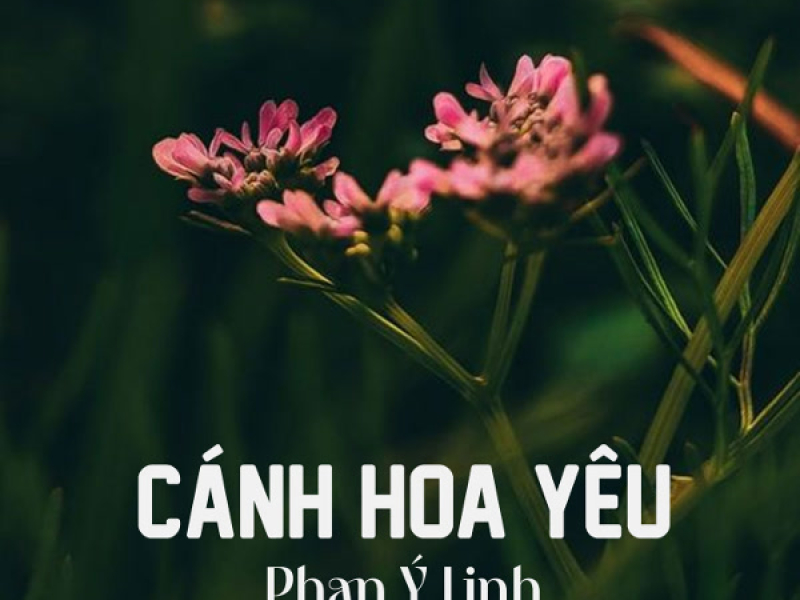 Cánh Hoa Yêu (Single)