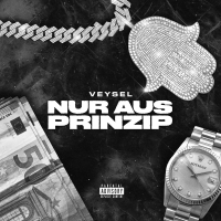 NUR AUS PRINZIP (Single)