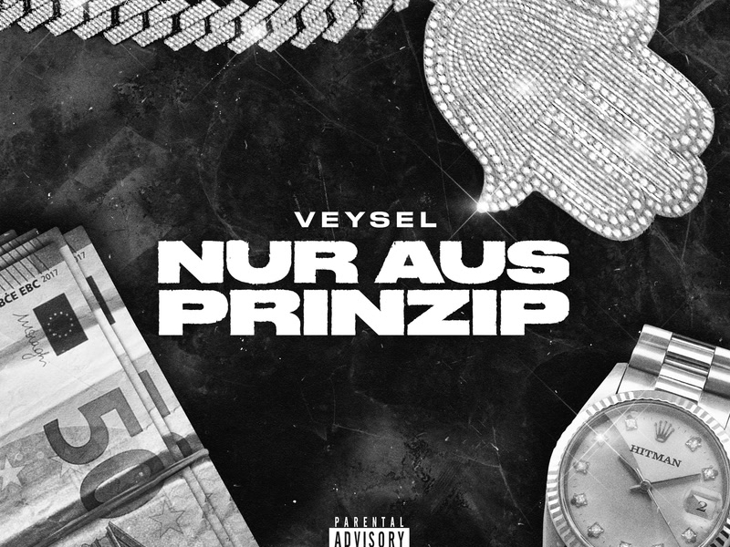 NUR AUS PRINZIP (Single)
