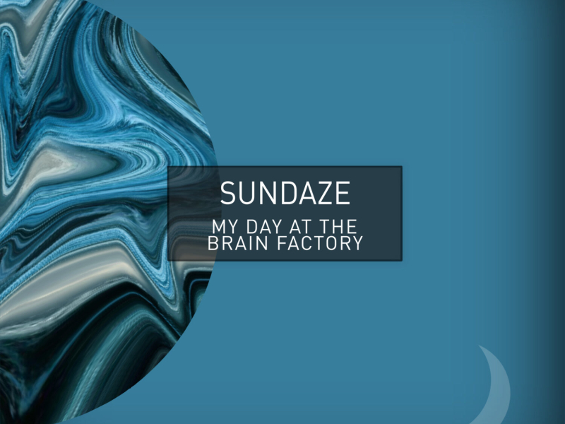 my day at the brain factory (Single)