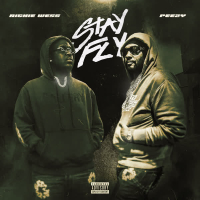 Stay Fly (feat. Peezy) (Single)