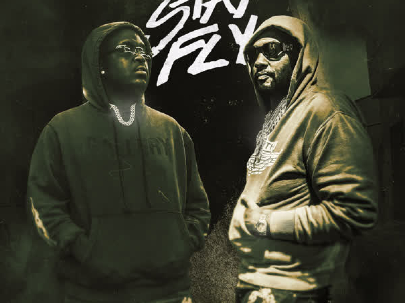 Stay Fly (feat. Peezy) (Single)