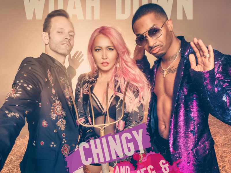 The Whoa Down (Single)