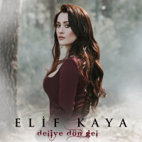 Deliye Dön Gel (Single)