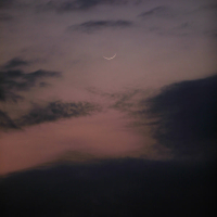 nostalgic nights (Single)