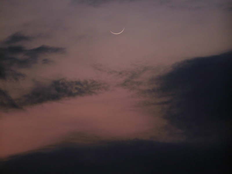 nostalgic nights (Single)