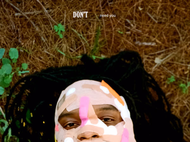 Don't Need You (Single)