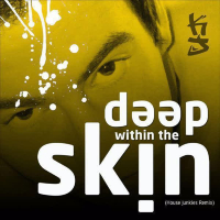 Deep Within The Skin (House Junkies Remix) (Single)