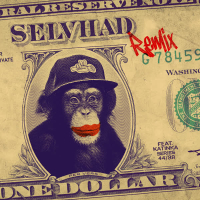 Selvhad (Remix) (Single)