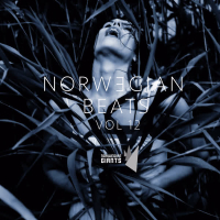 Norwegian Beats, Vol. 12