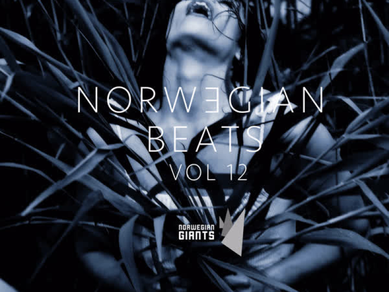 Norwegian Beats, Vol. 12