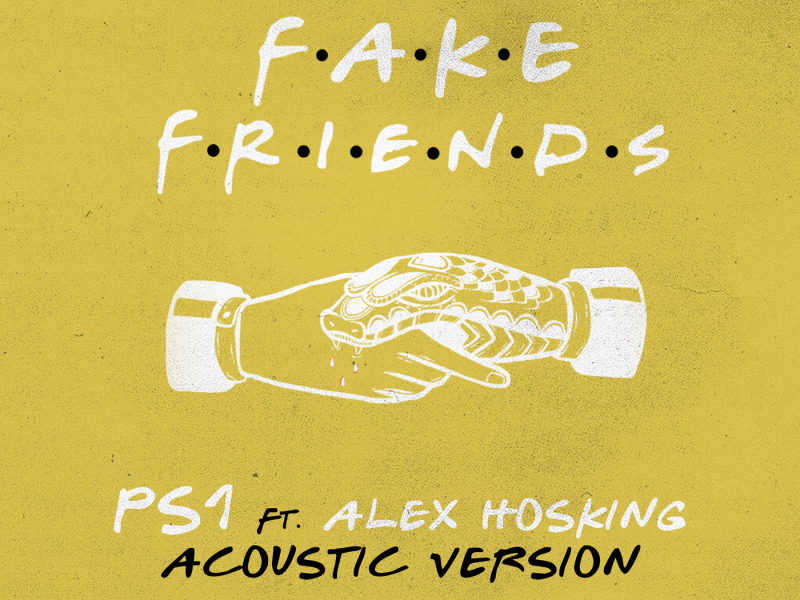 Fake Friends (Acoustic)