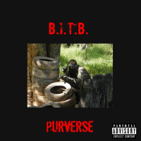 B.I.T.B. (Single)