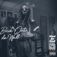 Brick Out da Wall