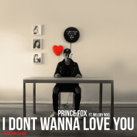 I Don't Wanna Love You (Adam York Remix) (Single)