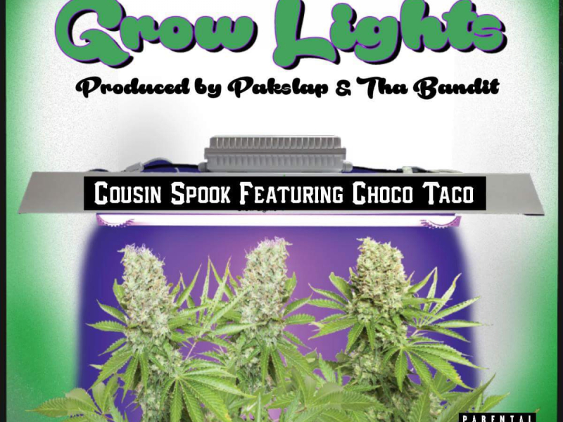 Grow Lights (feat. Choco Taco)
