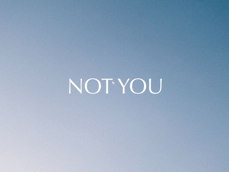 Not You (Single)
