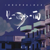 见一面少一面 (趁现在想见的人就去见) (Single)