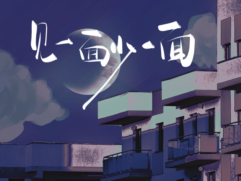 见一面少一面 (趁现在想见的人就去见) (Single)