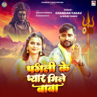 Pagli Ke Pyar Mile Baba (Single)