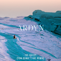 The Valley (Tom Demac's VHS Remix) (Single)