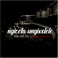 Ngicela Ungixolele (feat. NICCO NK) (Single)