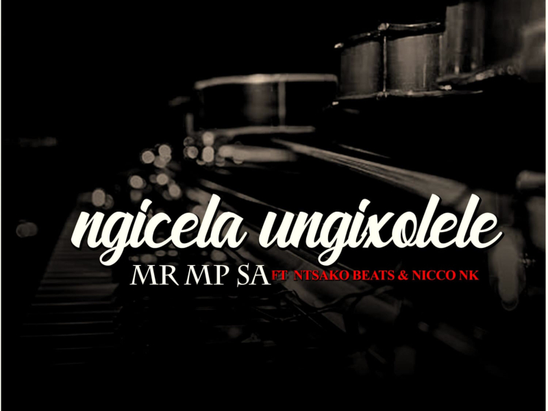 Ngicela Ungixolele (feat. NICCO NK) (Single)