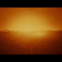 Lifetime (MV) (Single)