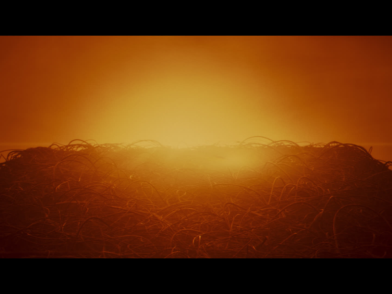 Lifetime (MV) (Single)