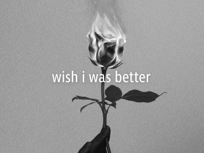 Wish I Was Better (Single)