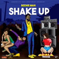 Shake Up (Single)