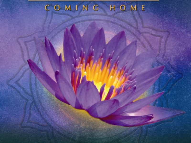 Heart Chakra Meditation II - Coming Home