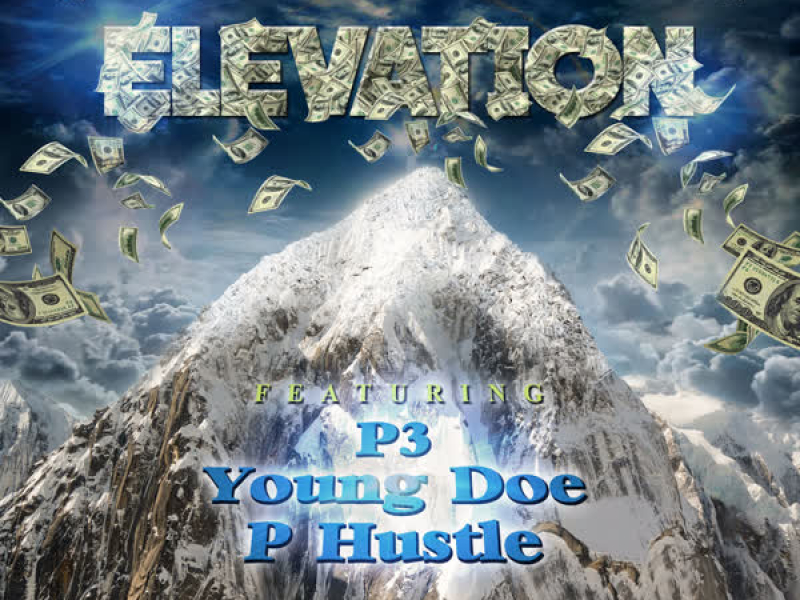 Elevation (Single)
