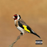 EL PAJARERO (Single)