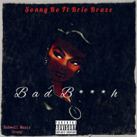 Bad B***h (feat. Brio Braze)