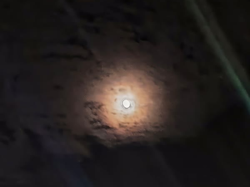 Where to Go (Single)