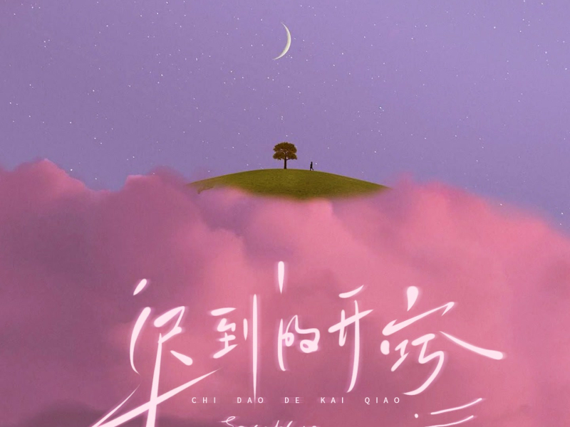 迟到的开窍 (Single)