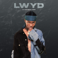 Lwyd (Radio Edit) (Single)