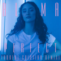 Perfect (Robert Cristian Remix) (Single)