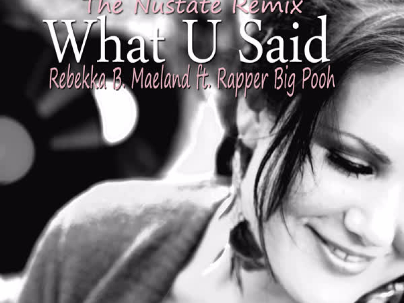 What U Said (feat. Rapper Big Pooh) [The Nustate Remix] (Single)