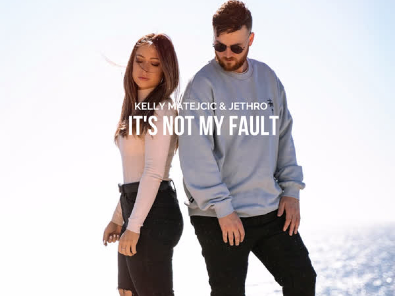 It's Not My Fault (Single)