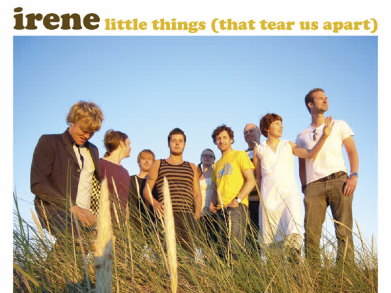 Little Things (That Tear Apart)