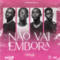 Não Vai Embora (Single)