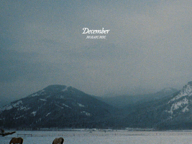 December (Single)