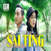 Salting (Single)