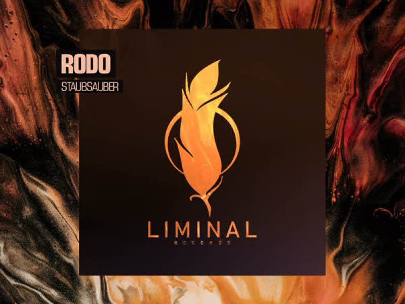 Staubsauber (Single)