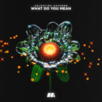 What Do You Mean (Single)