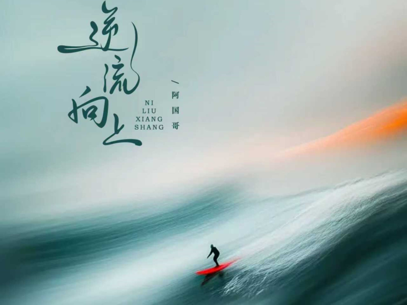 逆流向上 (DJ Eva版) (Single)