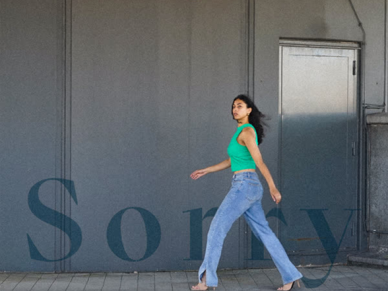 Sorry (Single)